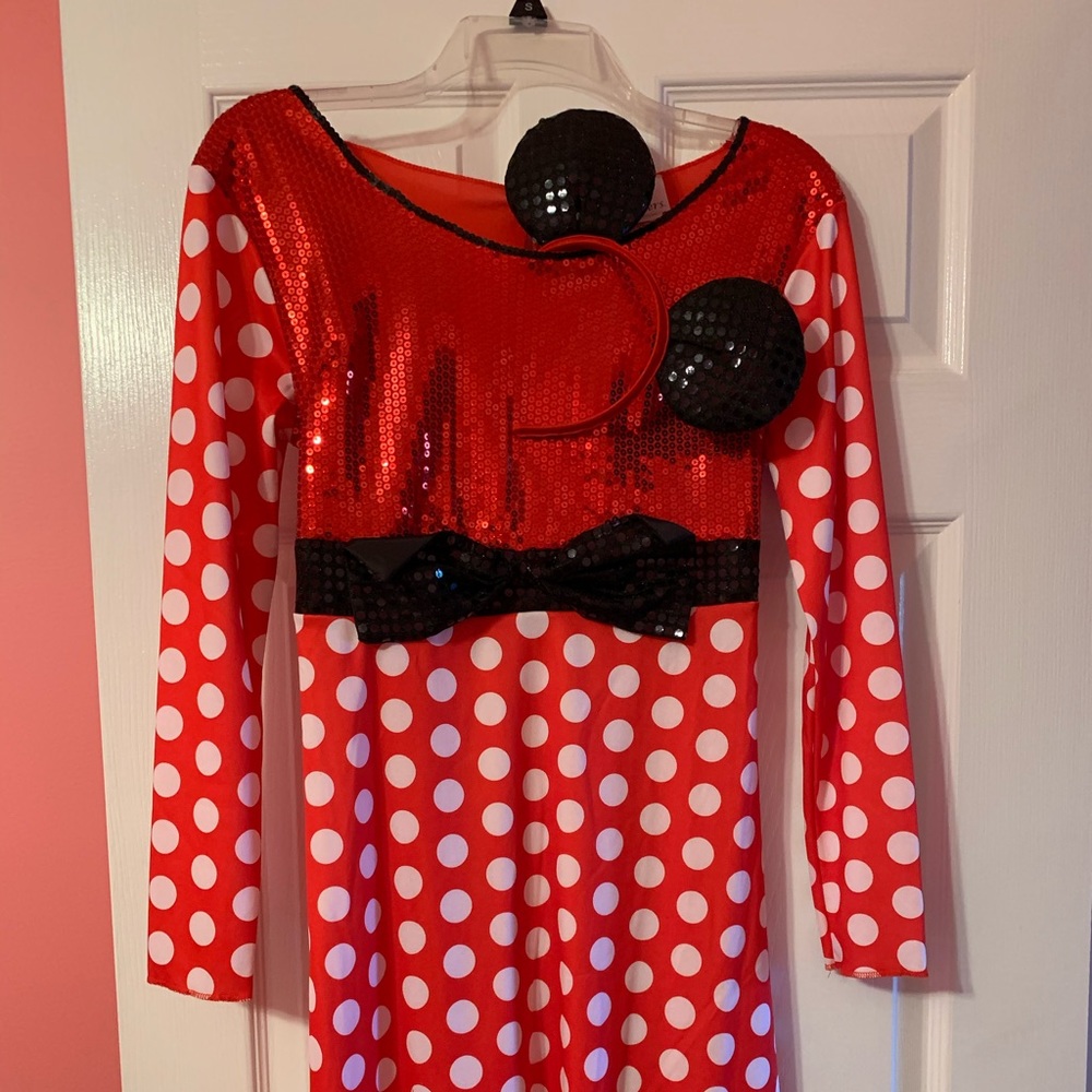 Ladies Minnie Mouse Halloween Costumes